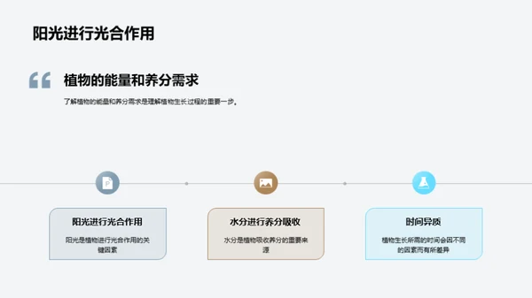 植物的生长过程