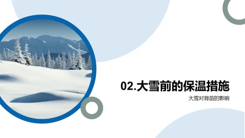 雪季养护：林木育苗秘籍