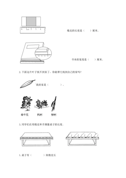 教科版一年级上册科学期末测试卷带精品答案.docx