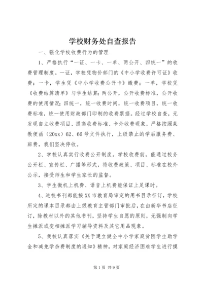 学校财务处自查报告.docx