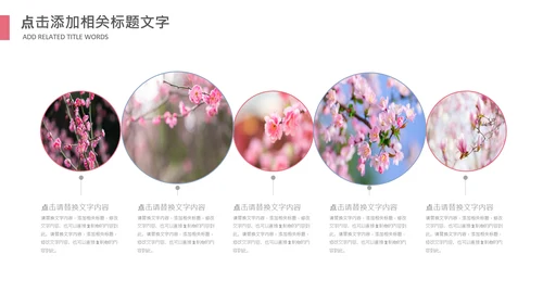 妇联三八妇女节年终工作总结汇报PPT模板