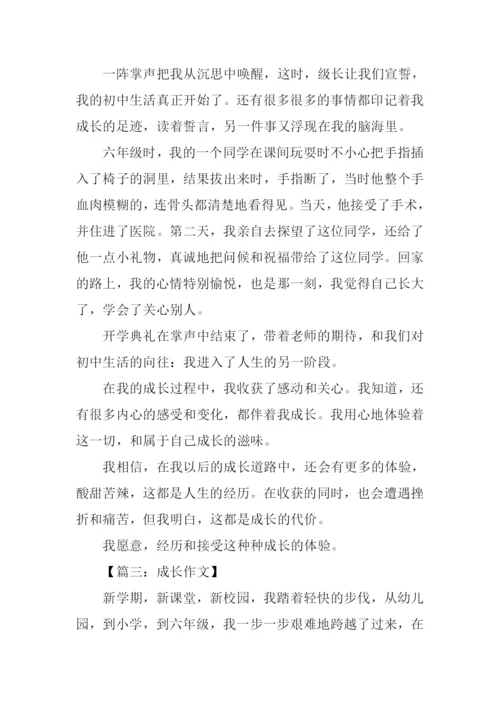 带有插叙的作文600字.docx