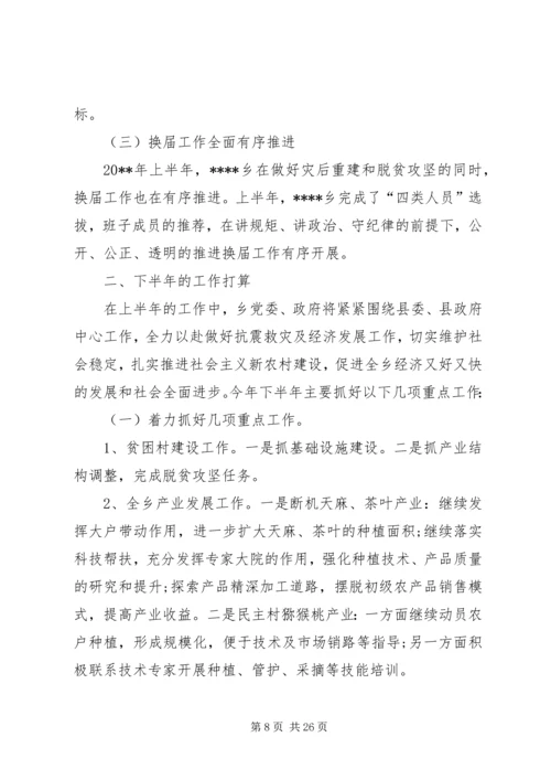 乡镇政府上半年工作总结_1.docx