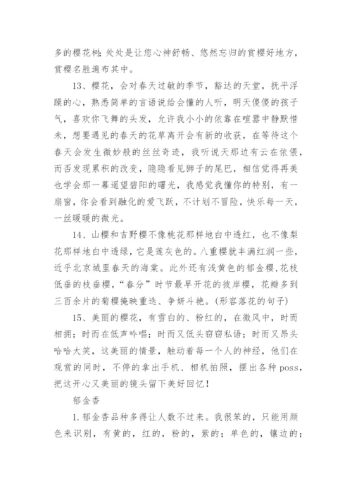 形容各种花的句子与词语.docx