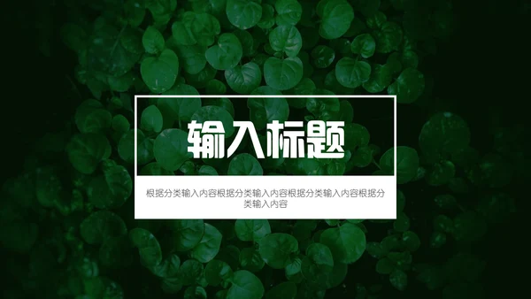 绿色叶子一叶一菩提通用PPT模板