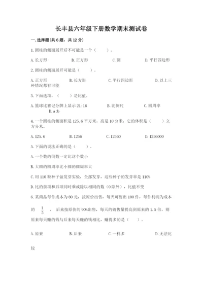 长丰县六年级下册数学期末测试卷（夺分金卷）.docx