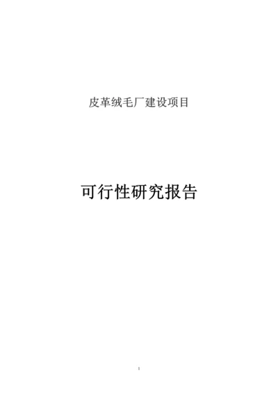 皮革绒毛厂建设项目可行性研究报告.docx