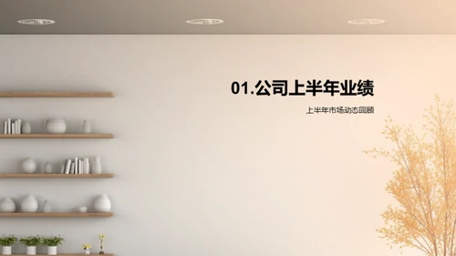 家居业务半年回顾与展望