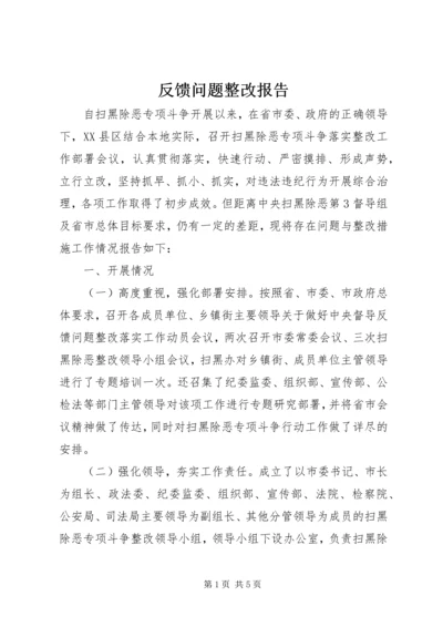 反馈问题整改报告.docx