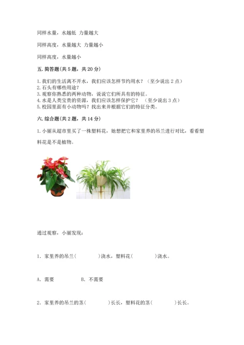 苏教版一年级下册科学期末测试卷（考点精练）.docx