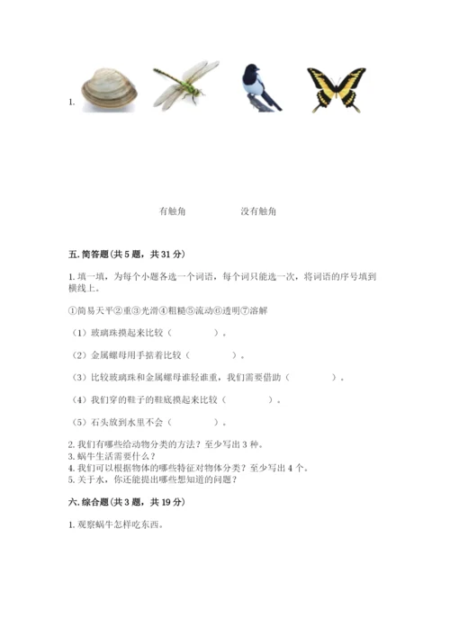 教科版一年级下册科学期末测试卷含完整答案（夺冠）.docx
