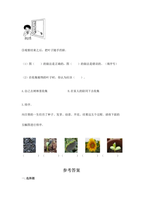 教科版科学一年级上册第一单元《植物》测试卷及答案（各地真题）.docx