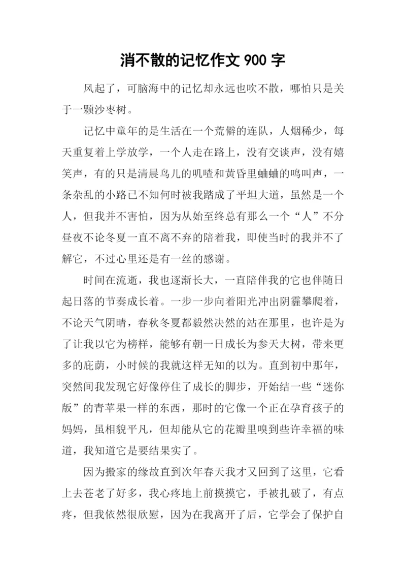 消不散的记忆作文900字.docx