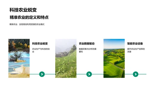述职演说-农业科技革新