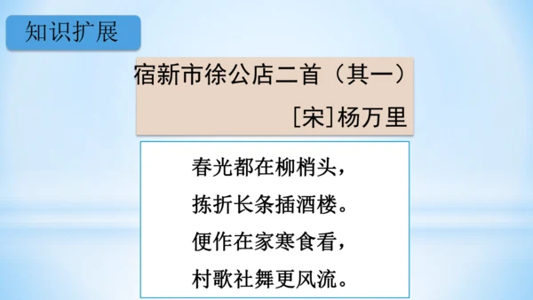 统编版语文四年级下册 第一单元 1古诗词三首 《宿新市徐公店》(教学课件)