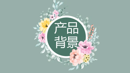 绿色水彩风公司产品介绍宣传通用PPT动态模板