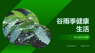 谷雨季健康生活