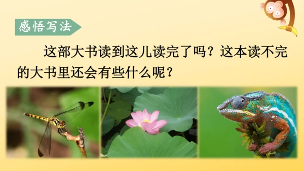 22 读不完的大书  课件