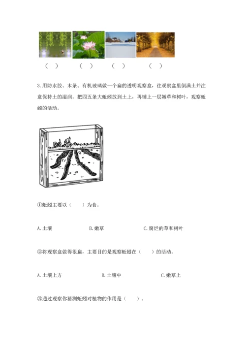 教科版二年级上册科学期末测试卷及完整答案（历年真题）.docx