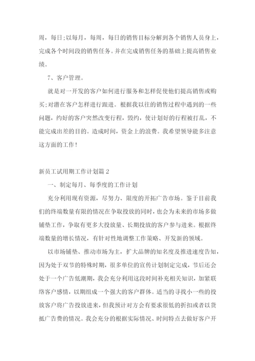新员工试用期工作计划.docx