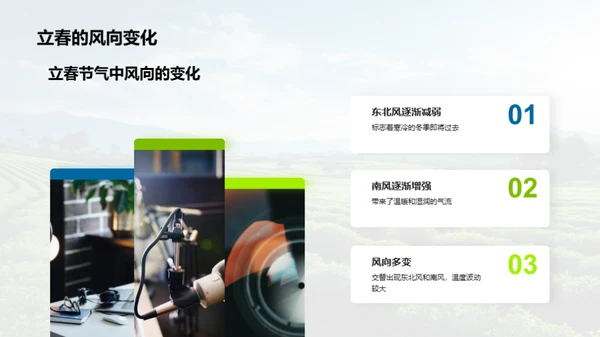 立春节气的奥秘解析