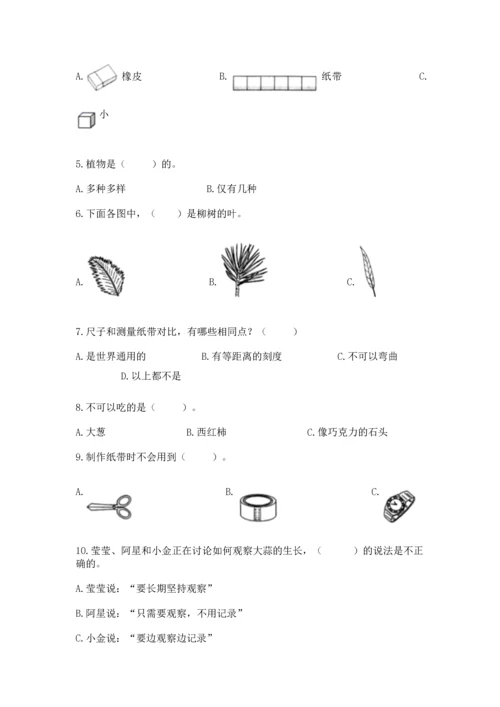 教科版一年级上册科学期末测试卷【中心小学】.docx