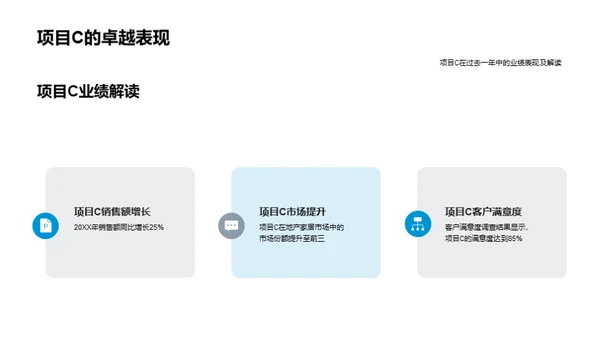 20XX房产项目回顾与展望