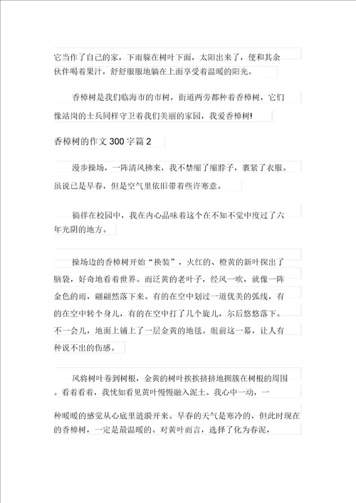 有关香樟树的作文300字汇编10篇
