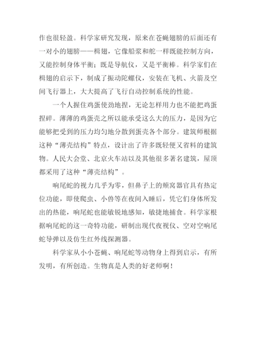 人类的老师作文.docx