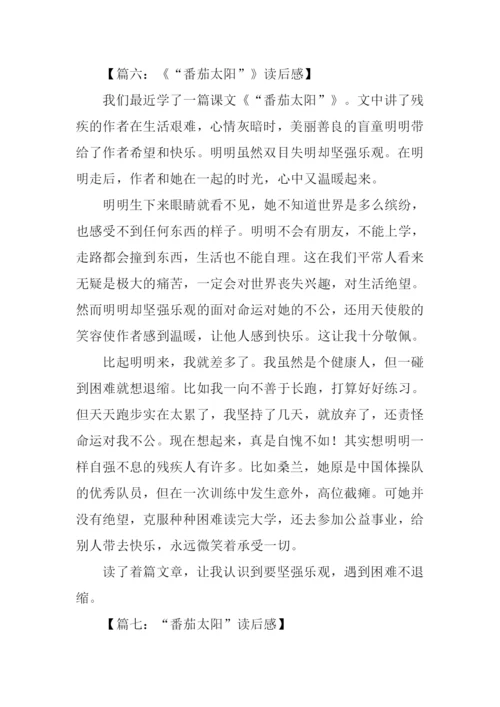 番茄太阳读后感.docx
