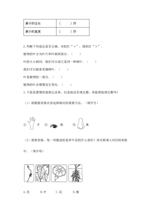 教科版科学一年级上册期末测试卷及答案（新）.docx