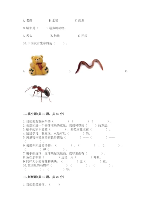教科版一年级下册科学期末测试卷附答案（考试直接用）.docx