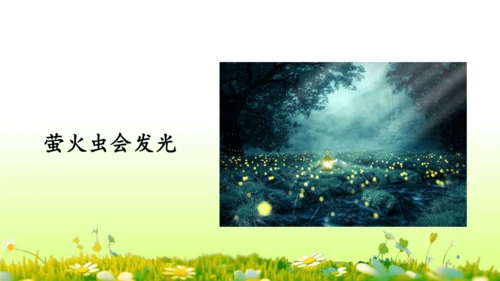 11.我是一只小虫子 课件