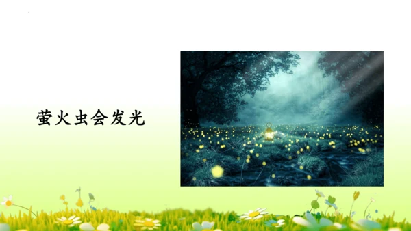 11.我是一只小虫子 课件