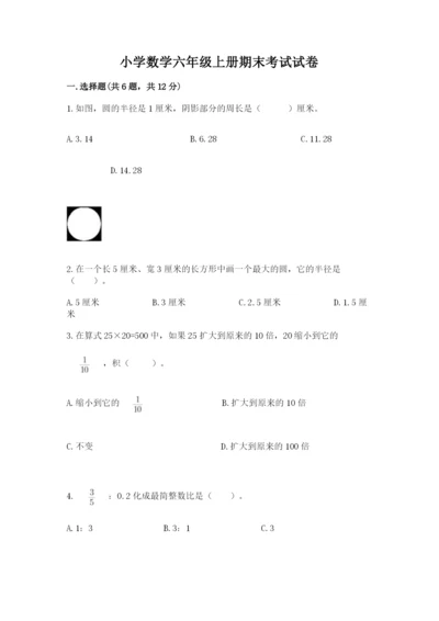 小学数学六年级上册期末考试试卷及完整答案【典优】.docx