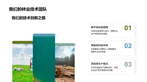 林业进步路
