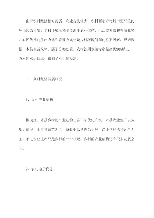 乡村专题调研报告