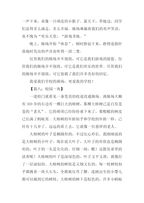 四年级作文公园一角.docx
