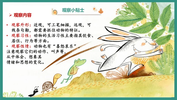 七年级语文上册第五单元 任务二 亲近动物，丰富生命体验 课件-【课堂无忧】新课标同步核心素养课堂