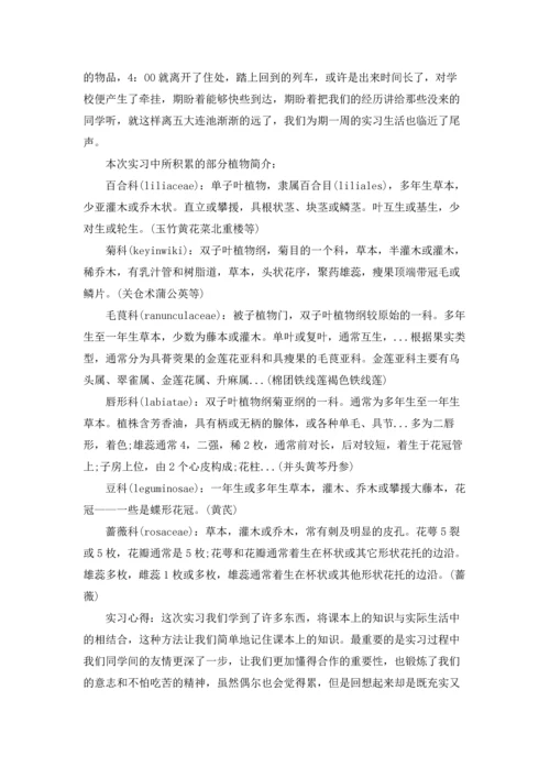 植物学实习报告合集七篇.docx