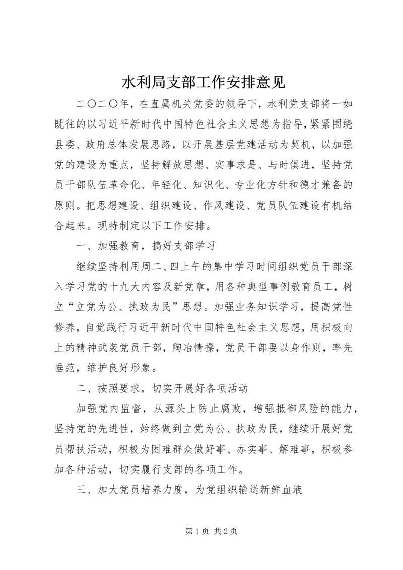 水利局支部工作安排意见.docx