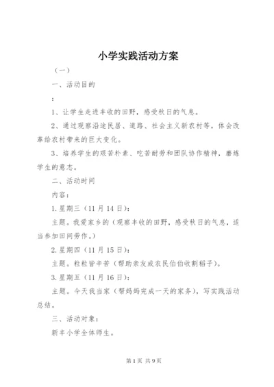 小学实践活动方案.docx