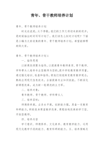 青年、骨干教师培养计划.docx