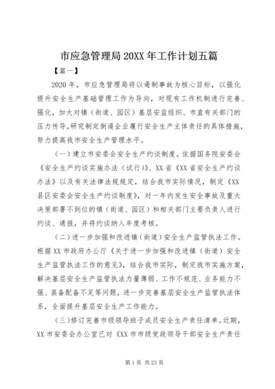 市应急管理局20XX年工作计划五篇.docx