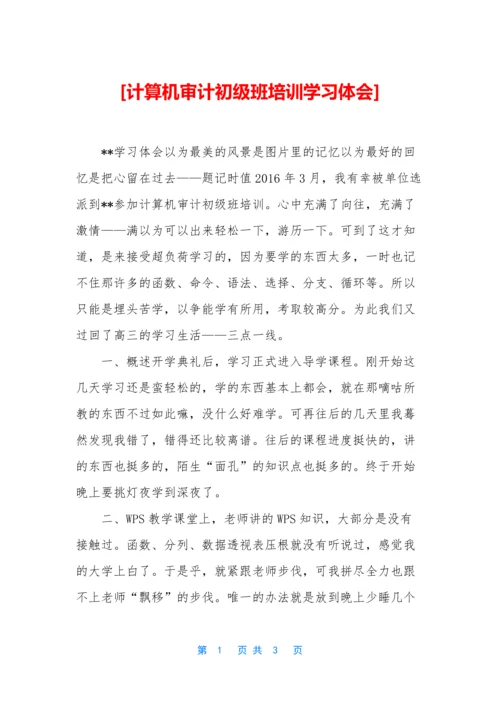 [计算机审计初级班培训学习体会].docx