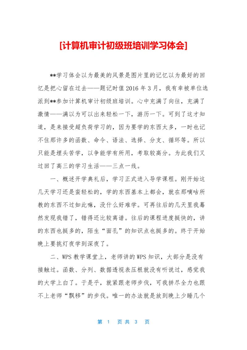 [计算机审计初级班培训学习体会].docx