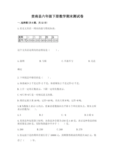 贵南县六年级下册数学期末测试卷（预热题）.docx