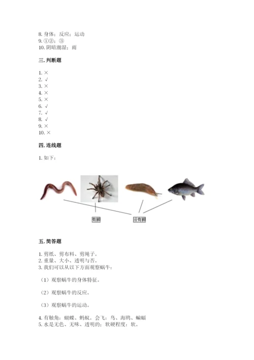 教科版一年级下册科学期末测试卷带答案ab卷.docx