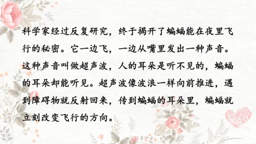 6夜间飞行的秘密  课件