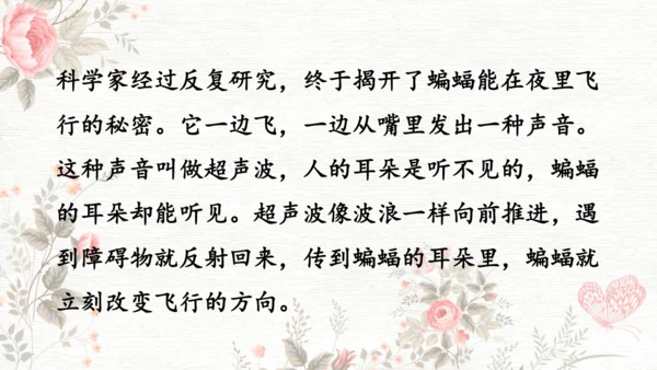 6夜间飞行的秘密  课件